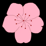 WWW,se524·COM网站APP最新版